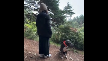 Guadarrama 720 1:1 -  PEC2 FOTOGRAFÍA Y VIDEO - ALEJANDRO ZAPATERO VELASCO.