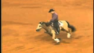 2006 Jr Reining World Champion: Tom Foran and Hollywood Downtown screenshot 5