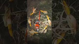 So long, summer!
‘Tis the season for falling leaves, cozy fireplaces, and fall lawn cleanup. And we have a full line of tools to help get the job done. #welcomefall #STIHL #chainsaw
🎥: @IdenticalDraw So long, summer!