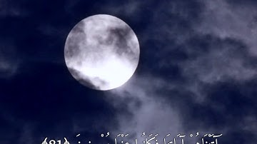 تلاوة عطرة ﴿ وَلَقَدْ كَذَّبَ أَصْحَابُ الْحِجْرِ الْمُرْسَلِينَ ﴾