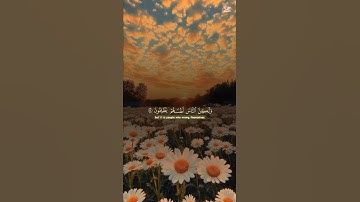 سورة يونس❤️🎧#القرآن_الكريم #القرآن #قرآن #تلاوة_خاشعة #quran #like #subscribe #mydesign #explore