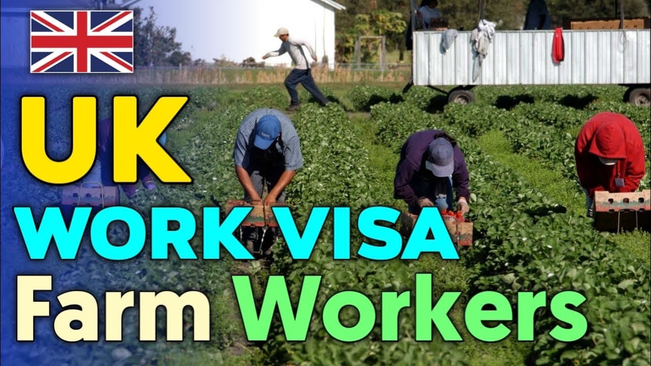 Work Visa UK 2021 for Seasonal & Temporary Jobs UK Farm Worker Visa