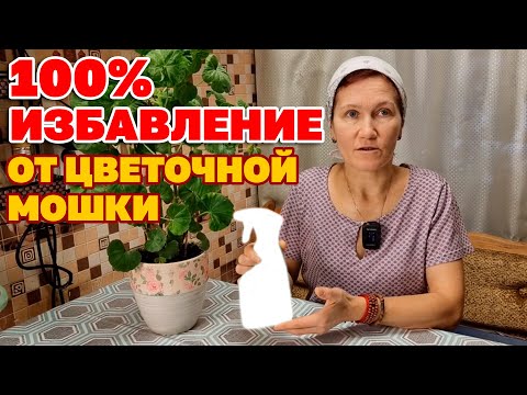 ЛУЧШИЙ СПОСОБ ОТ  ЦВЕТОЧНОЙ МОШКИ/СРЕДСТВО ОТ ВРЕДИТЕЛЕЙ КОМНАТНЫХ ЦВЕТОВ@obovsemsmarusya