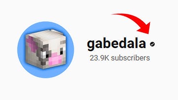 How I Got My Channel Verified WITHOUT 100k Subscribers?