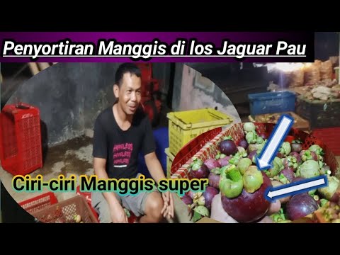 Cara Memeram Buah Manggis