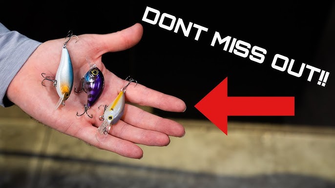 Our Top 5 Favorite Flat Sided Crankbaits To Catch More Fish In The