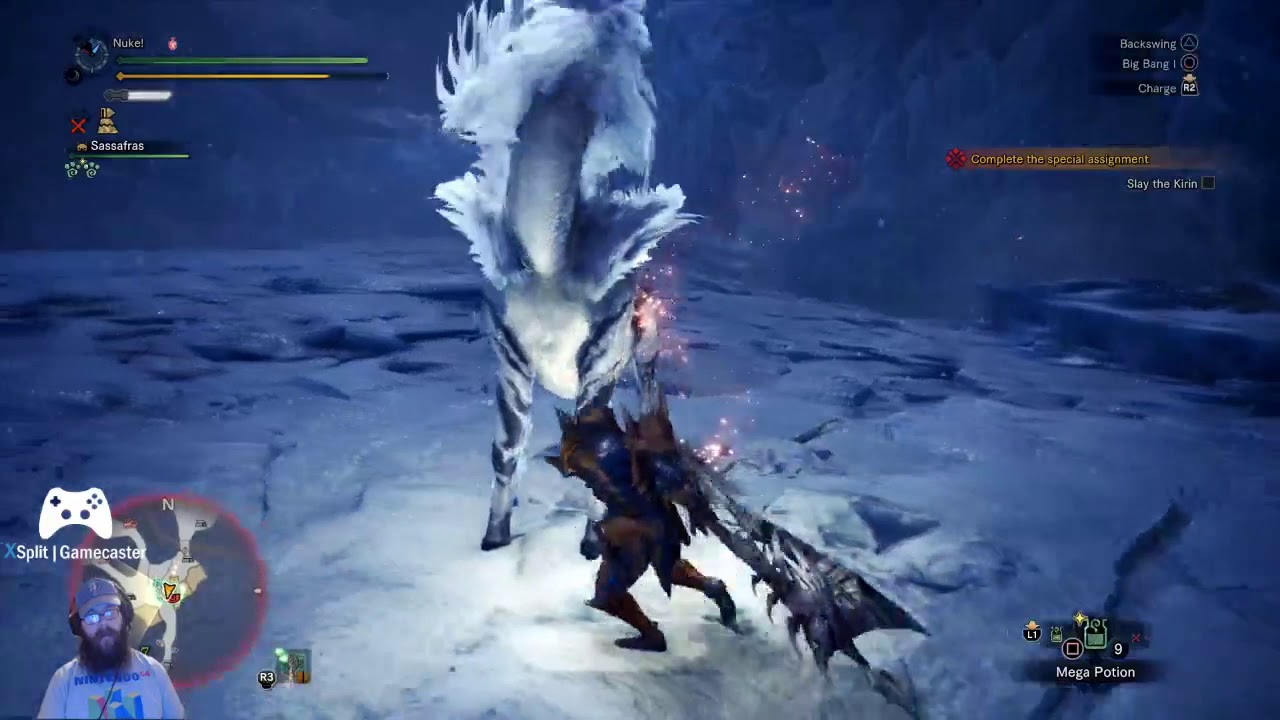Kirin Hunt Special Assignment