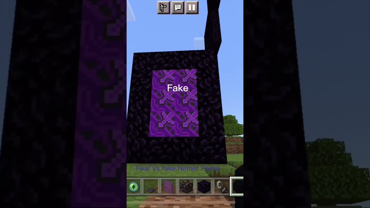 Real Vs fake Nether Portal