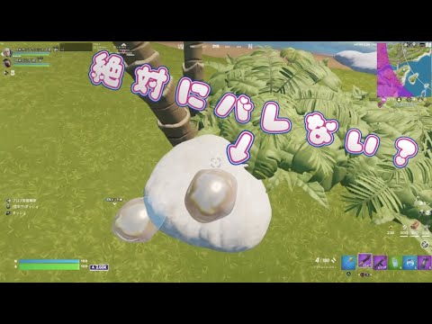 クロム状態で石にどうかすれば絶対にばれないんじゃね？【Fortnite / フォートナイト】