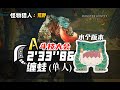 MHWilds(PS5) 大剑缠蛙 斗技大会(单人A)-2分33秒/ arena 02 Chatacabra greatsword solo rank A 2'33"86