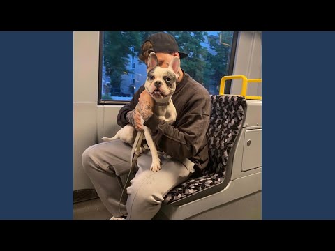 Polytox in viel schnell!