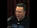 Elon Musk Warns of a Hidden Fragility Behind Modern Stability