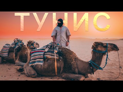 ТУНИС | ЧТО