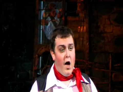 15. Gaetano Donizetti Il elixir d'amore. II acto. Aria di Nemorino.