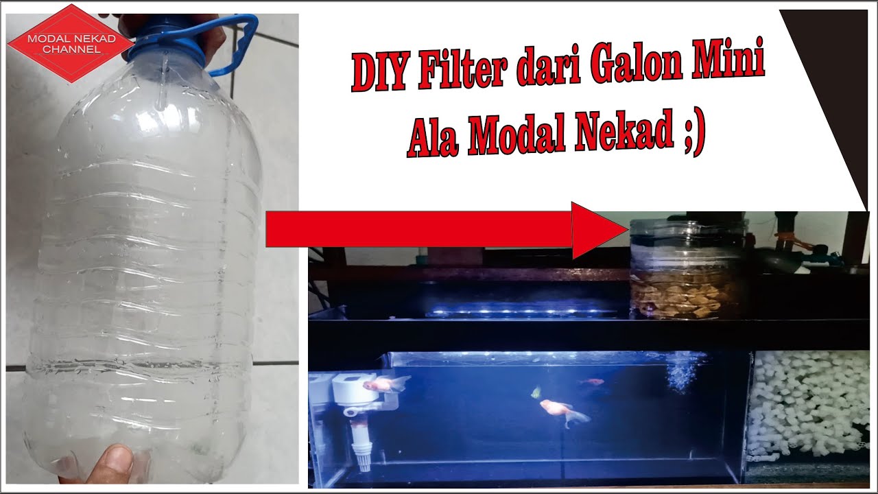 [TUTORIAL] DIY Filter Aquarium Ikan Mas Koki dari Galon Mini Bekas ...