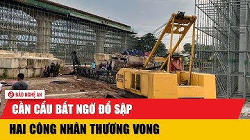 Cần cẩu bất ngờ đổ sập, hai công nhân thương vong