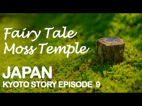 Kyoto UNESCO WHS  The most peaceful place in Kyoto, Moss Temple (Kokedera), Saiho-ji, Japan