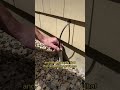 Do you know how fiber optic cabling is brought into your home?