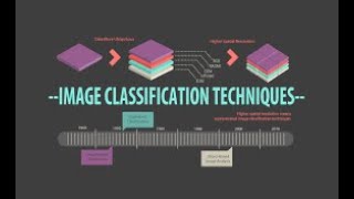Image Classification Experiment (Cats, Dogs), through LOBE, AI
