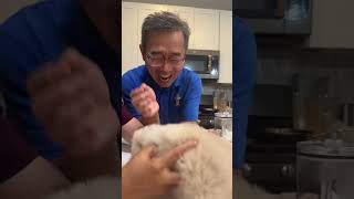 Girl surprises her parents with a puppy and their happiness knows no bounds
