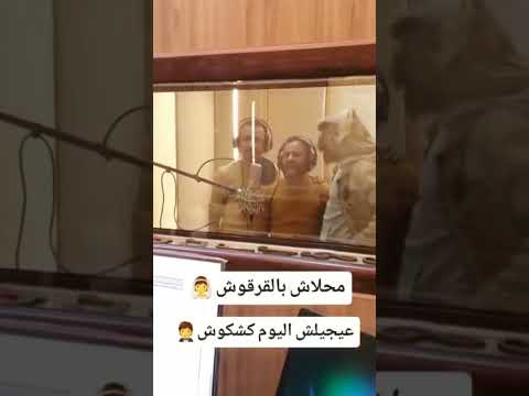 جديد مشعات انور الشرفي حميدة انور محلاش بلقرقوش 