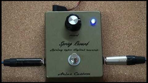 Sprin Reverb (english)