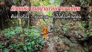 Hualhang Old stream in the middle forest, Srisawat, Kanchanabi, Thailand