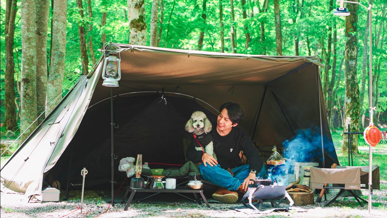 🐶新緑の森で愛犬と2泊3日のソロキャンプをしたら最高すぎた。【トイプードル】
