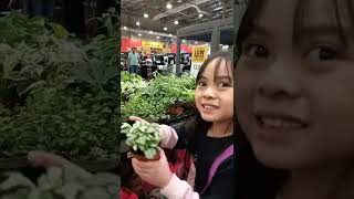 Exploring the Ace Hardware