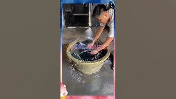 test máy bơm mini tạo đài phun nước non bộ tiểu cảnh sân vườn #tieucanh #daiphunnuoc #nuoica