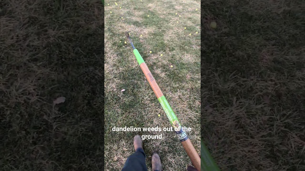 Happy New Year. We are back to work finally!! 