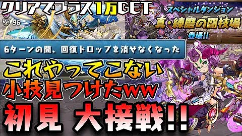 ハロヴェル 練磨 ハロヴェル 練磨