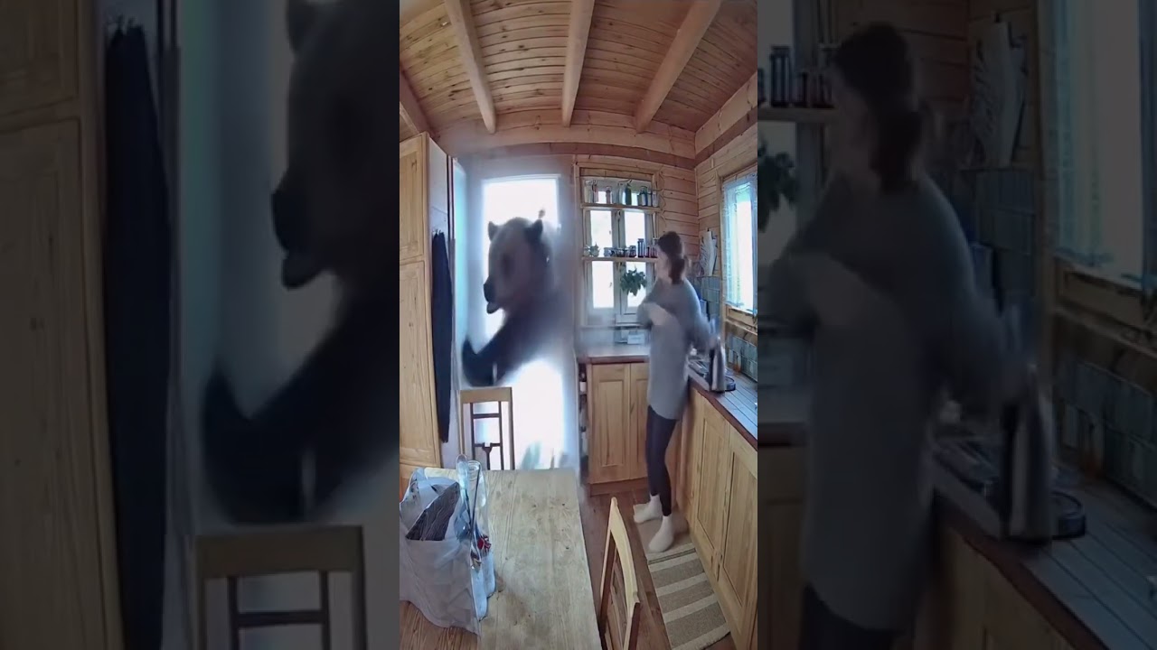 🔍 Real Cabin CCTV: Late-Night Kitchen Caught on Camera