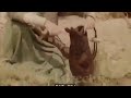باسم الكربلائي السلام عليك يا قمر بني هاشم باسم الكربلائي السلام عليك يا قمر بني هاشم