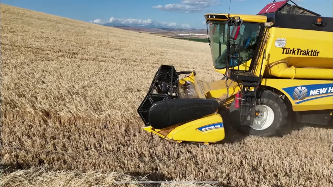 Harvesting barley with NEW HOLLND TC580 combine harvester NEW HOLLND biçerdöver ile arpa hasatı