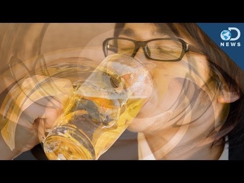 The Reason You