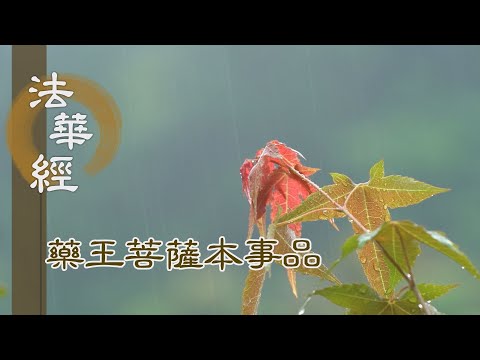 靜思妙蓮華】 法華經藥王菩薩本事品- 真誠無私信願力行- 第1823