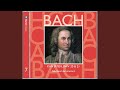 Miniature de la vidéo de la chanson Cantata, Bwv 20 "O Ewigkeit, Du Donnerwort": Part 2, Iii. Aria (Duetto) "O Menschenkind"