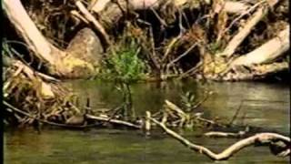Wading Safety part 4