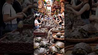 Life in a Traditional Animal Market@muhammadarif-ai