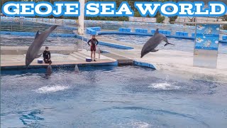 Geoje Sea Worldgeoje Adventuresouth Koreajane Belia