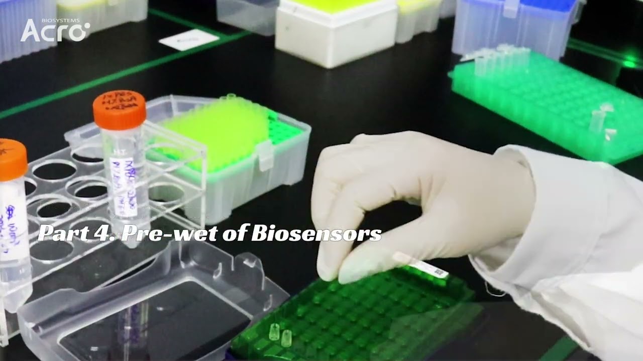 Highlight: Biotinylated Human FCGRT & B2M Heterodimer Protein (Cat. No. FCM-H8286)-SA-BLI experiment