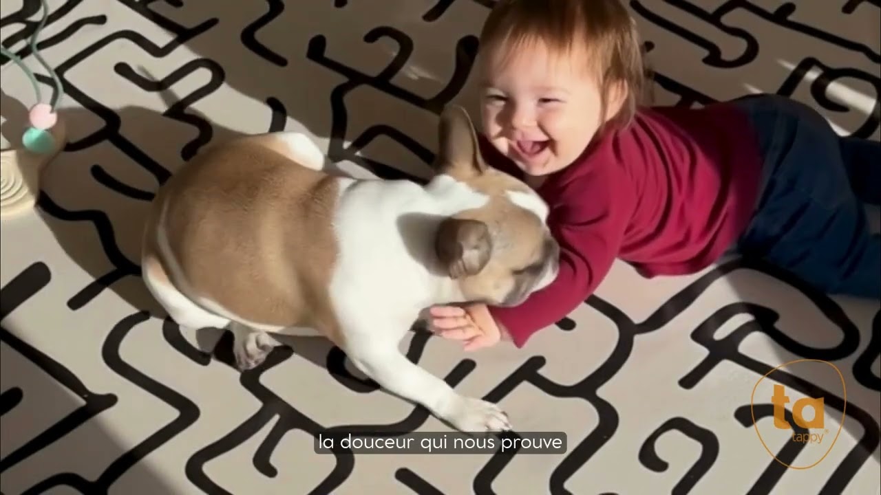 ## L'hymne Tatappy : quand le sol devient un art de vivre en famille