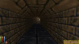 Daggerfall Test