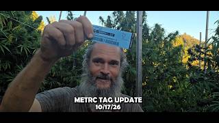 METRC TAG UPDATE - 10/17/26