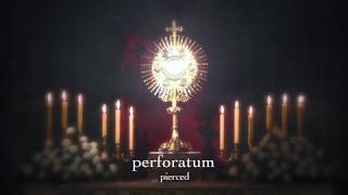 Ave Verum Corpus [w/ lyrics] | Catholic Hymn