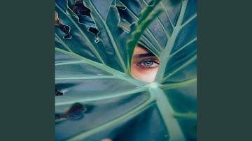 High Class Moods for Totally Stress Free Moments