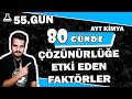Molar Çözünürlüğe Etki Eden Faktörler | 80 Günde AYT Kimya |  55.Gün