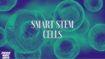 Smart Stem Cells (Morphic Field)