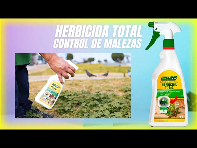 Herbicida total no selectivo: ¿Es la solución definitiva a las malas  hierbas? 